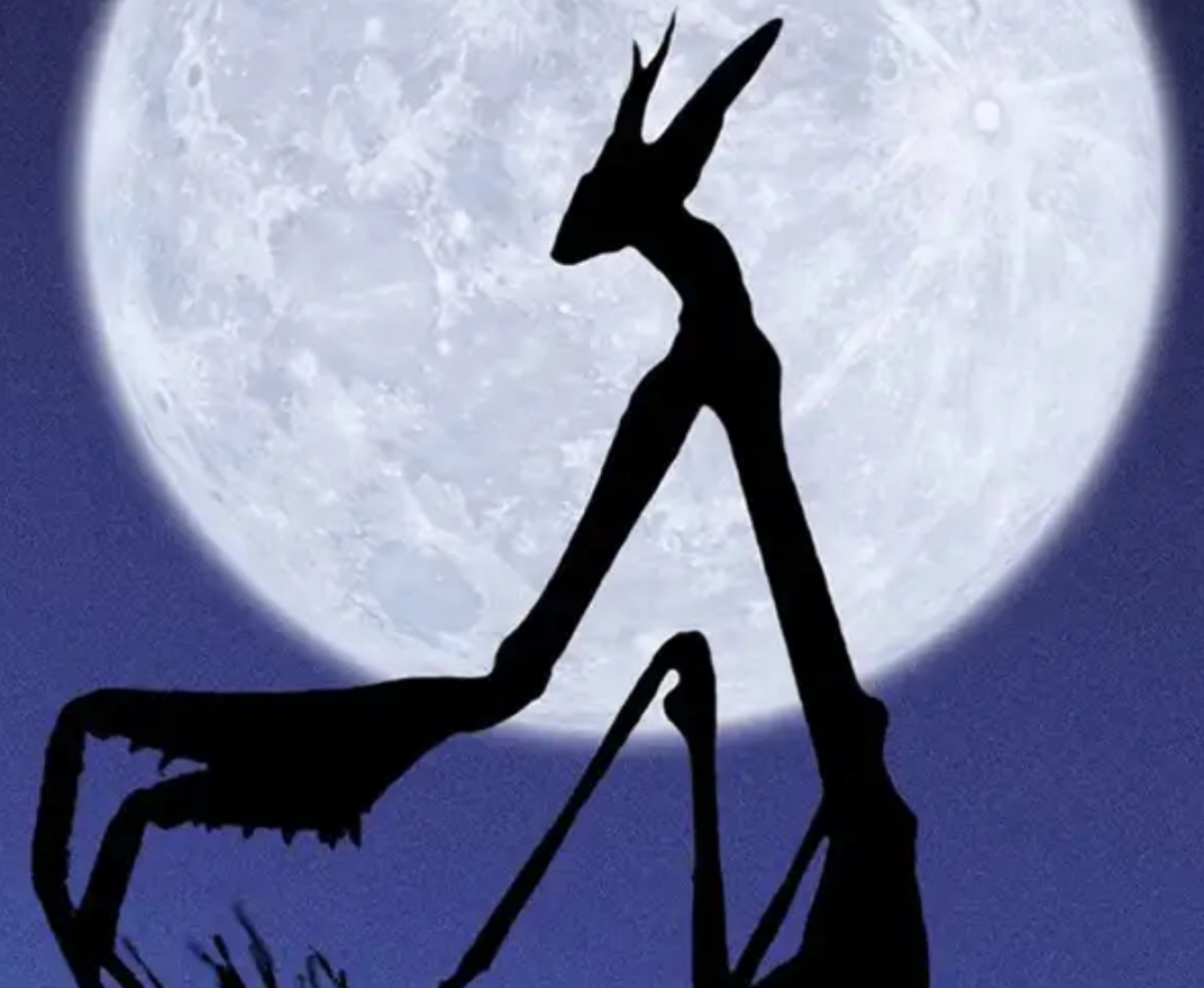 Openluchtfilm in de Hortus: Microcosmos